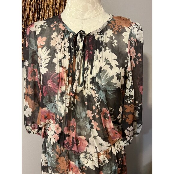 Sundance Dress 6 8 Petite Medium PM 3/4 Long Sleeve Sheer Silk Maxi - Picture 2 of 9